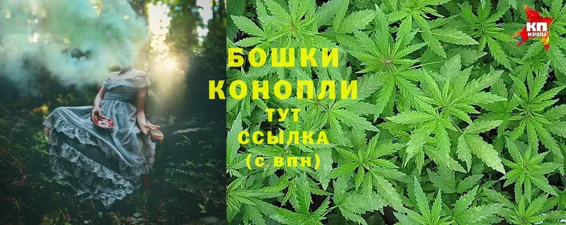 Шишки марихуана Ganja  Черноголовка 